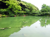 地獄めぐり