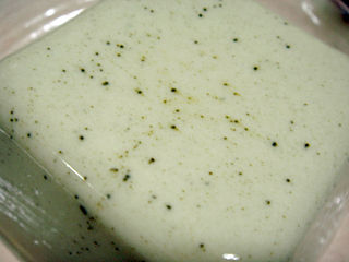 京都GREEN