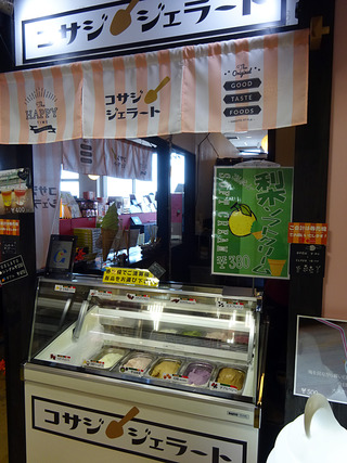 鳥取旅