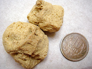 大豆たんぱく中粒