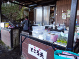 嵐山散歩