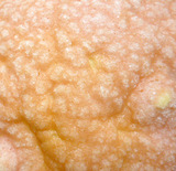 ���Υ��祳���åץ����ѥ�