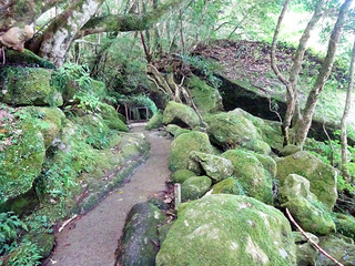 屋久島散策