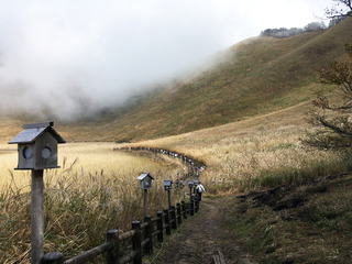 奈良旅