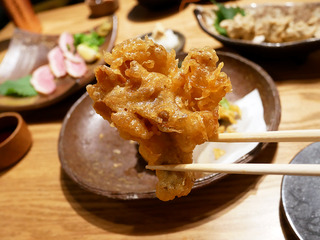 gensei20