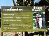 「Baan Tong Luang」