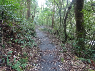 屋久島散策