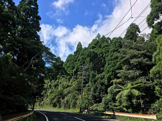 屋久島散策