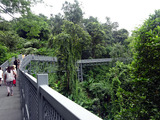 「QUEEN SIRIKIT BOTANIC GARDEN」