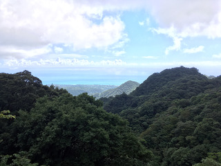屋久島散策