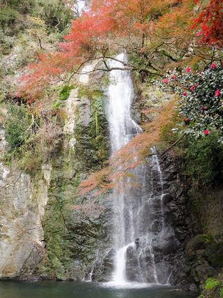 2018箕面の滝