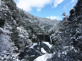 ohita_kanko1