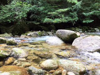 屋久島トレッキング