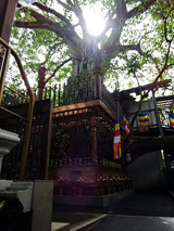 ガンガラーマ寺院