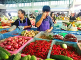 「Maejo Market」