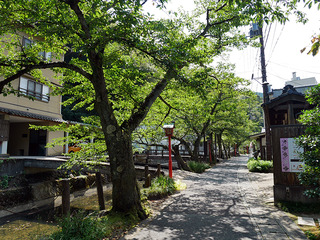 kinosaki3