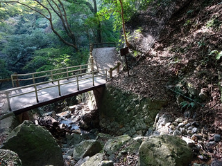 箕面の滝散策