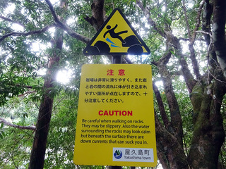 屋久島散策