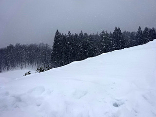 「白川郷」