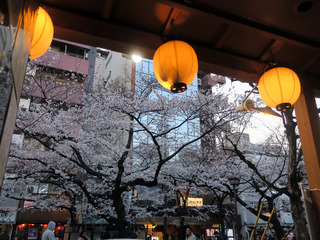 momiji5