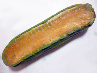 蔵出し抹茶チョコラ