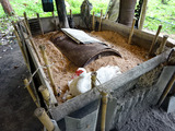 「Natural Agriculture Centre」