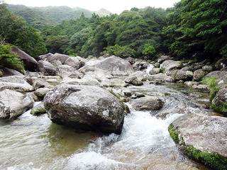 屋久島散策