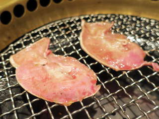 onekarbi13