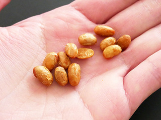natto7