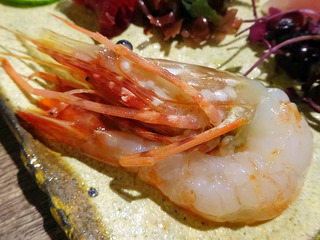 「晩酌食堂Hanaco+」