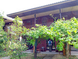 「Lotus Village Hotel」