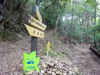 箕面の滝