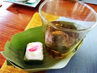 Ananda Museum Gallery Hotel