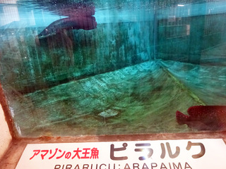 地獄めぐり