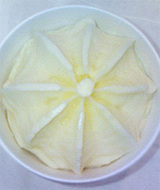 icecrin2