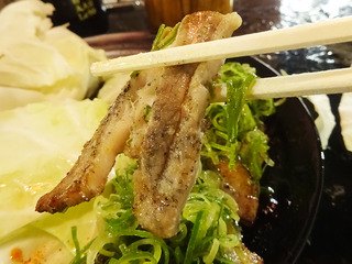 「ウマカーよかばい」