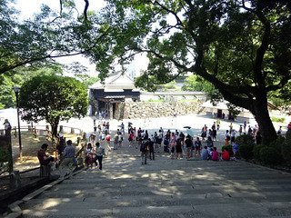 高知旅