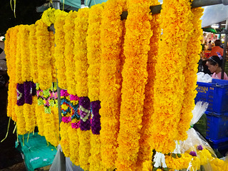 「Pak Klong Market」