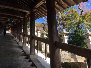 奈良旅