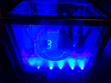 「8G Horie River Terrace」