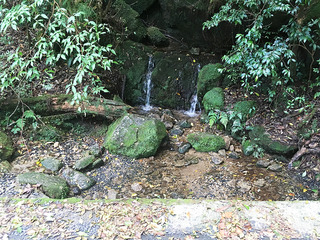 屋久島散策