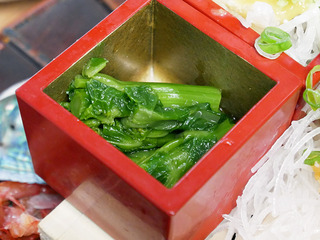 sakatokek11