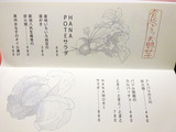 「晩酌食堂Hanaco+」