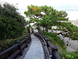 高知旅