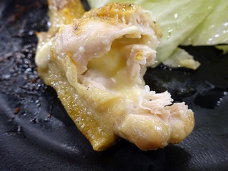 「ウマカーよかばい」
