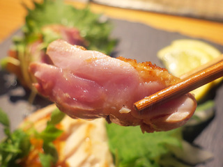 toriichiwa18