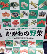 「うどん県。それだけじゃない香川県」