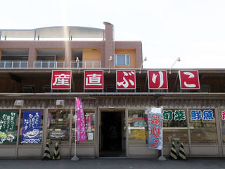 hatahata4