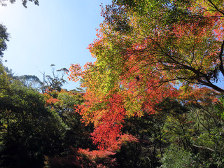 2018箕面の滝