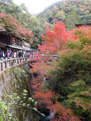 2018箕面の滝